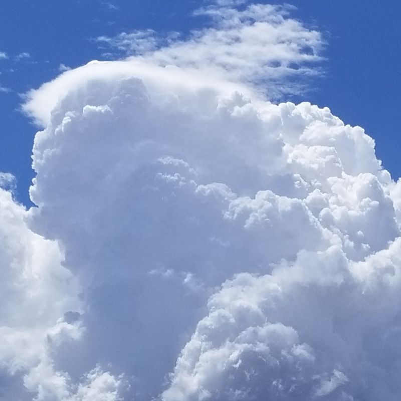 Recovery Resources for Healing Trauma