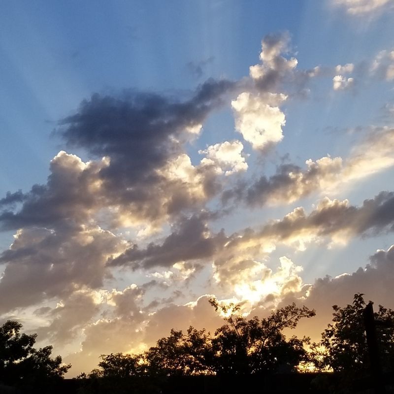 healing resources from trauma and abuse