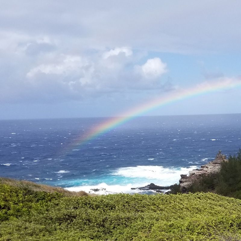 About Juliana Rose Teal-Creator of Soaring to Healing