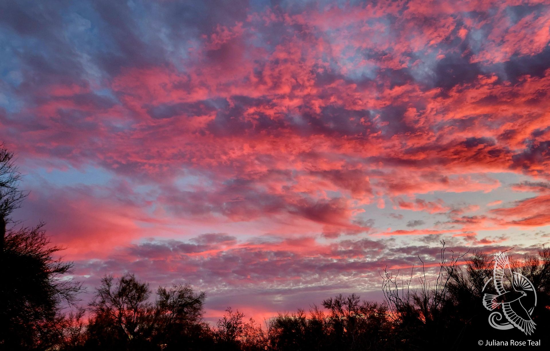 Tucson Sunset - Copyright Juliana Rose Teal